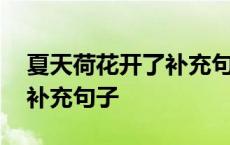 夏天荷花开了补充句子一年级 夏天荷花开了补充句子 