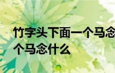 竹字头下面一个马念什么字儿 竹字头下面一个马念什么 