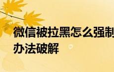 微信被拉黑怎么强制恢复好友 微信被拉黑有办法破解 