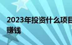 2023年投资什么项目最赚钱 投资什么项目最赚钱 