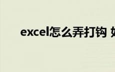 excel怎么弄打钩 如何在excel中打钩 