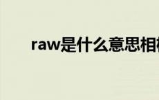 raw是什么意思相机 raw是什么意思 