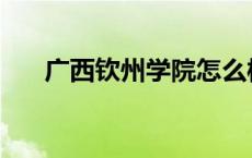 广西钦州学院怎么样 钦州学院怎么样 