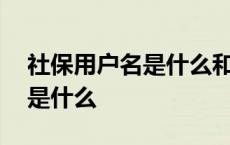 社保用户名是什么和密码是什么 社保用户名是什么 