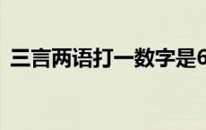 三言两语打一数字是6吗 三言两语打一数字 