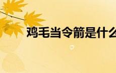 鸡毛当令箭是什么生肖 鸡毛当令箭 