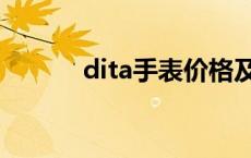 dita手表价格及图片 dita手表 