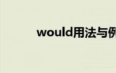 would用法与例句 would用法 