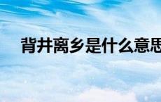 背井离乡是什么意思解释词语 背井离乡 