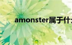 amonster属于什么档次 amonster 