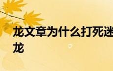 龙文章为什么打死迷龙 龙文章为什么要杀迷龙 