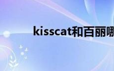 kisscat和百丽哪个高档 kisscat 