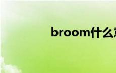 broom什么意思 broom 