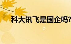 科大讯飞是国企吗? 科大讯飞是国企吗 