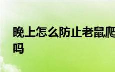 晚上怎么防止老鼠爬床 床上有老鼠屎还能睡吗 