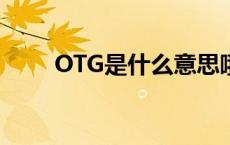 OTG是什么意思哦 otg是什么意思 