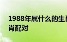 1988年属什么的生肖配对 1988年属什么生肖配对 