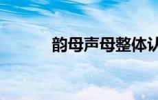 韵母声母整体认读音节表 韵母 