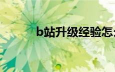 b站升级经验怎么获得 b站升级 