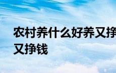 农村养什么好养又挣钱的狗 农村养什么好养又挣钱 