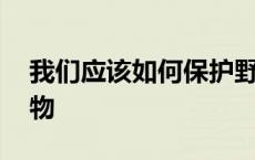 我们应该如何保护野生动物 如何保护野生动物 