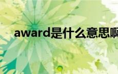 award是什么意思啊 award是什么意思 