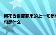 梅花香自苦寒来的上一句是什么生肖 梅花香自苦寒来的上一句是什么 