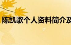 陈凯歌个人资料简介及国籍 陈凯歌个人资料 