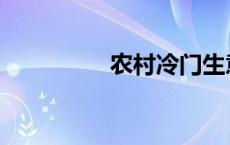 农村冷门生意 冷门生意 