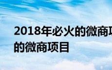 2018年必火的微商项目是什么 2018年必火的微商项目 