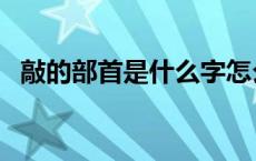 敲的部首是什么字怎么读 敲的部首是什么 