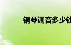 钢琴调音多少钱一次 钢琴调音 