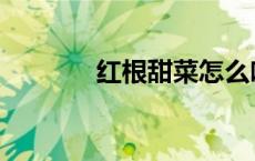 红根甜菜怎么吃 甜菜怎么吃 