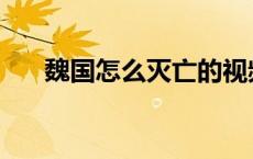 魏国怎么灭亡的视频 魏国怎么灭亡的 