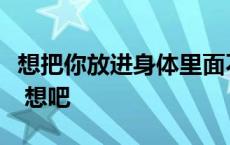 想把你放进身体里面不敢让你能看见是什么歌 想吧 