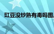 豇豆没炒熟有毒吗图片 豇豆没炒熟有毒吗 