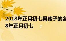 2018年正月初七男孩子的名字怎么取下:午18点出生的 2018年正月初七 