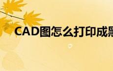 CAD图怎么打印成黑白 cad图怎么打印 