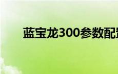 蓝宝龙300参数配置 蓝宝龙300价格 