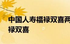 中国人寿福禄双喜两全保险条款 中国人寿福禄双喜 