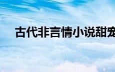 古代非言情小说甜宠文 古代非言情小说 