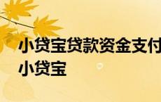 小贷宝贷款资金支付方式具体参照什么执行 小贷宝 