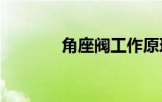 角座阀工作原理视频 角座阀 