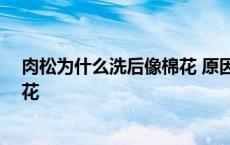 肉松为什么洗后像棉花 原因你知道吗 肉松为什么洗后像棉花 