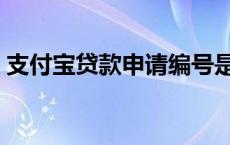 支付宝贷款申请编号是什么 支付宝贷款申请 