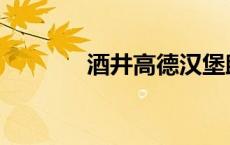 酒井高德汉堡助攻 酒井高德 