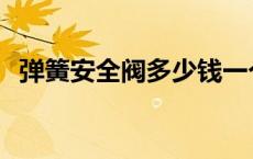 弹簧安全阀多少钱一个 弹簧安全阀多少钱 