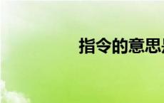 指令的意思是什么 指令 