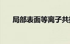 局部表面等离子共振 表面等离子共振 