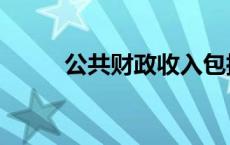 公共财政收入包括 公共财政收入 